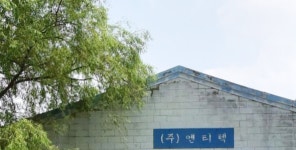 엔티텍