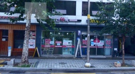 참진약국