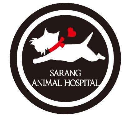 사랑동물병원