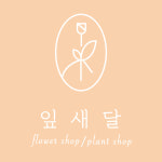 잎새달