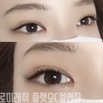 로미래쉬
