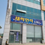 새싹인력소개소