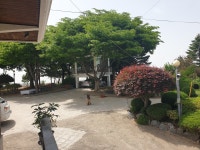 @금성사슴목장