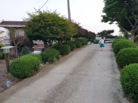 @금성사슴목장