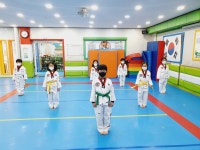 고려대명문태권도