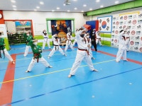 고려대명문태권도