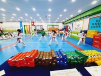 고려대명문태권도