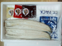 마님장어
