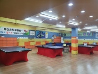 에이스탁구클럽