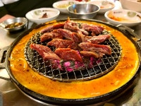 신마포갈매기 고강점