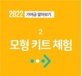 윤가야금
