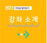윤가야금