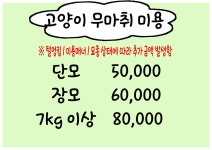 사하펫