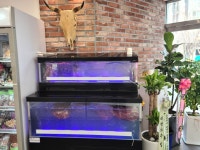 축산사랑 위례점