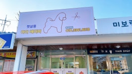 하이 베이비 펫살롱