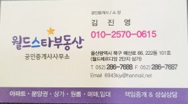 월드스타부동산공인중개사사무소