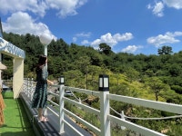 소나무카페