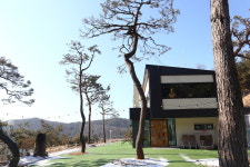 소나무카페