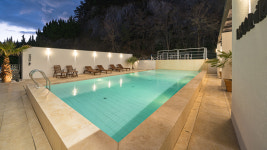 디풀빌라 애견펜션