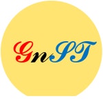지엔에스티