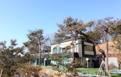 소나무카페