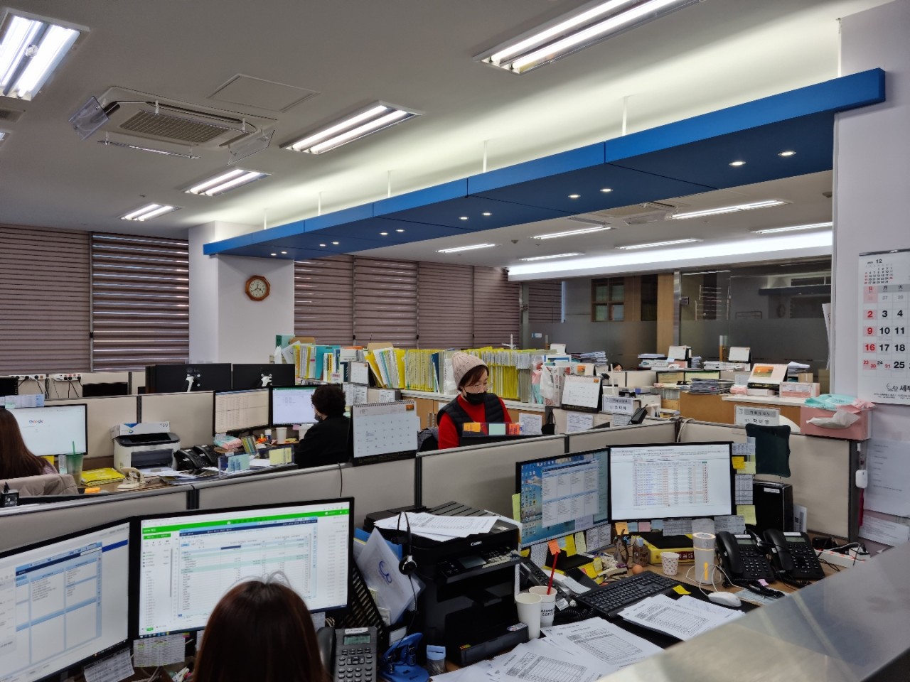 세무법인다솔광명 이미지