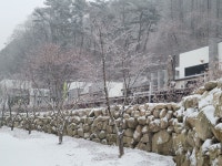 네스트홍천펜션