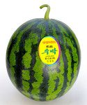 농업회사법인 탐스팜