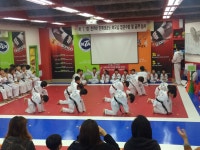 은가비 민족태권도