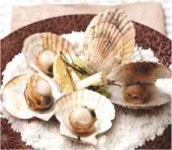 김천앞바다