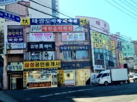 뉴예원음악학원