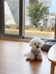 제주 포레스타힐 펜션