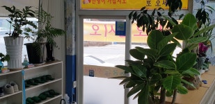 동궁가든