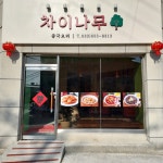 차이나무