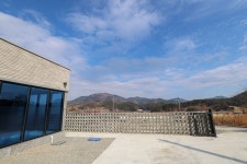 신파리208아이들
