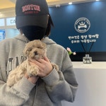 펫캐슬 의정부 애견샵