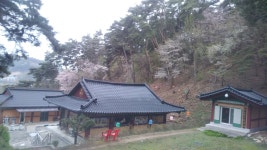 천궁사