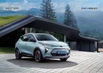 쉐보레 역삼지정서비스