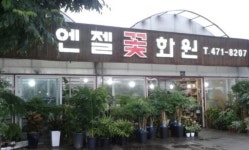 엔젤화원