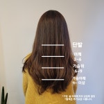 살롱디홍
