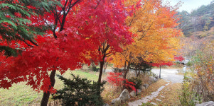 하추 사계절펜션