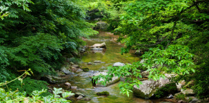 하추 사계절펜션