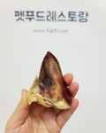 독슐랭