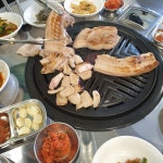 돈백돈