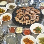 돈백돈