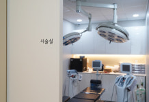 로이성형외과의원