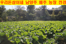 우리돈삼이네