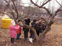 숲노리누리협동조합