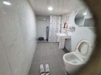 샌디앤스토니