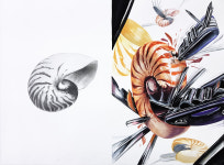 디자인피노미술학원